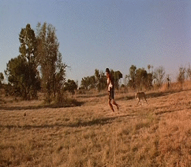 R1024x0.gif