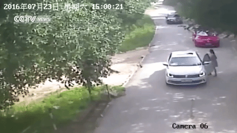중국호랑이.gif