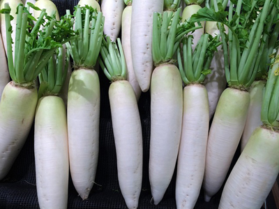 radish-1586313_400.jpg
