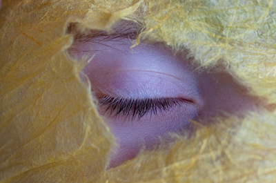 eye-1205073_400.jpg