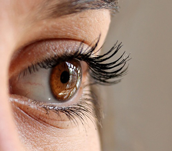 eye-211610_350.jpg