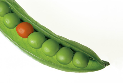 peas-580333_400.jpg