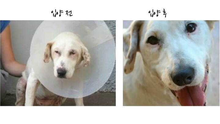 �ݷ����Ծ�.jpg