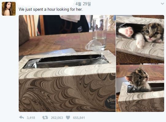 ������ã1.jpg