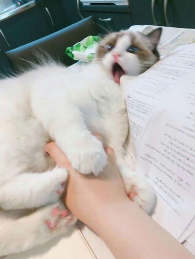 ̸  Ҵ3.jpg