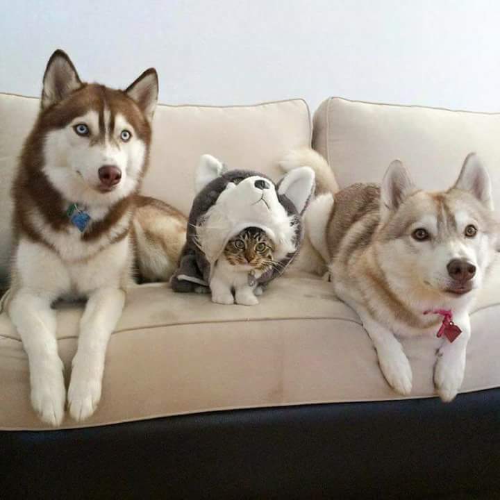 ẹ.jpg