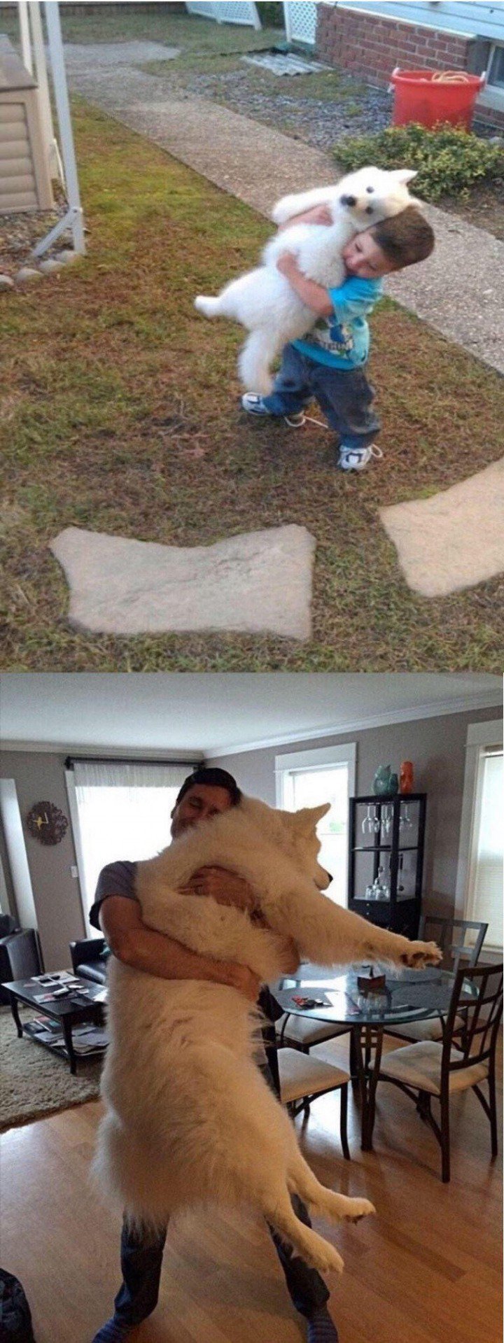 ������.jpg