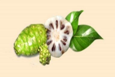 ���.png